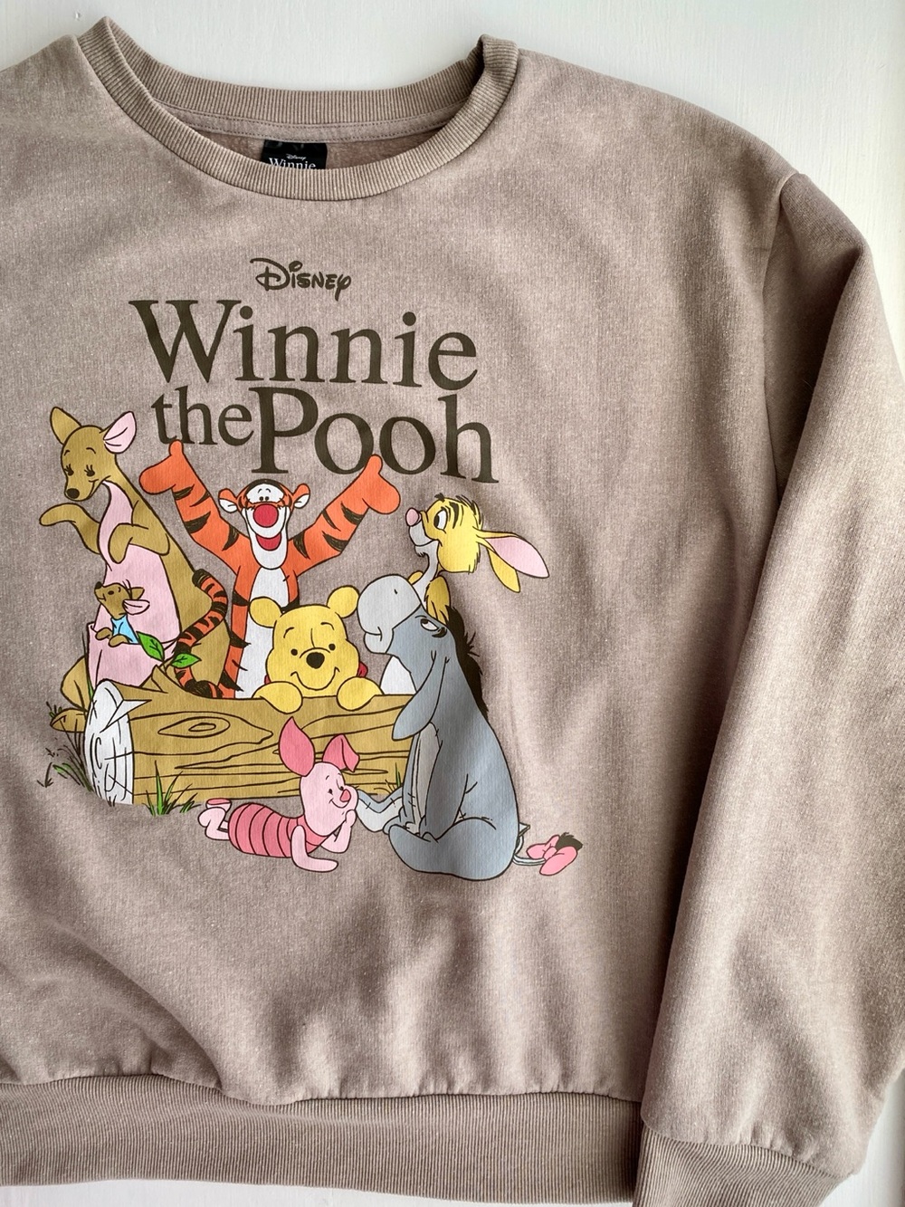 Disney Winnie the Pooh Graphic Sweatshirt - Light Brown